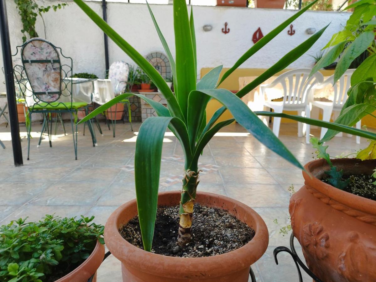 Voulas Guest House Volos Luaran gambar